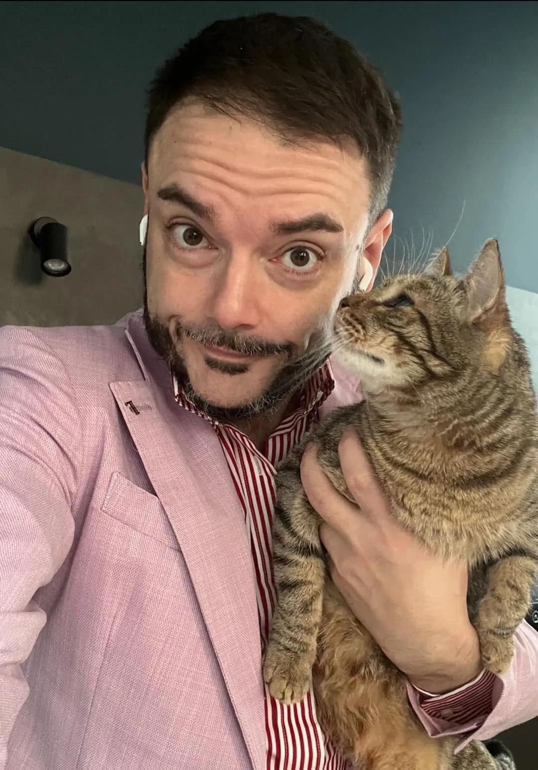Gatto curioso