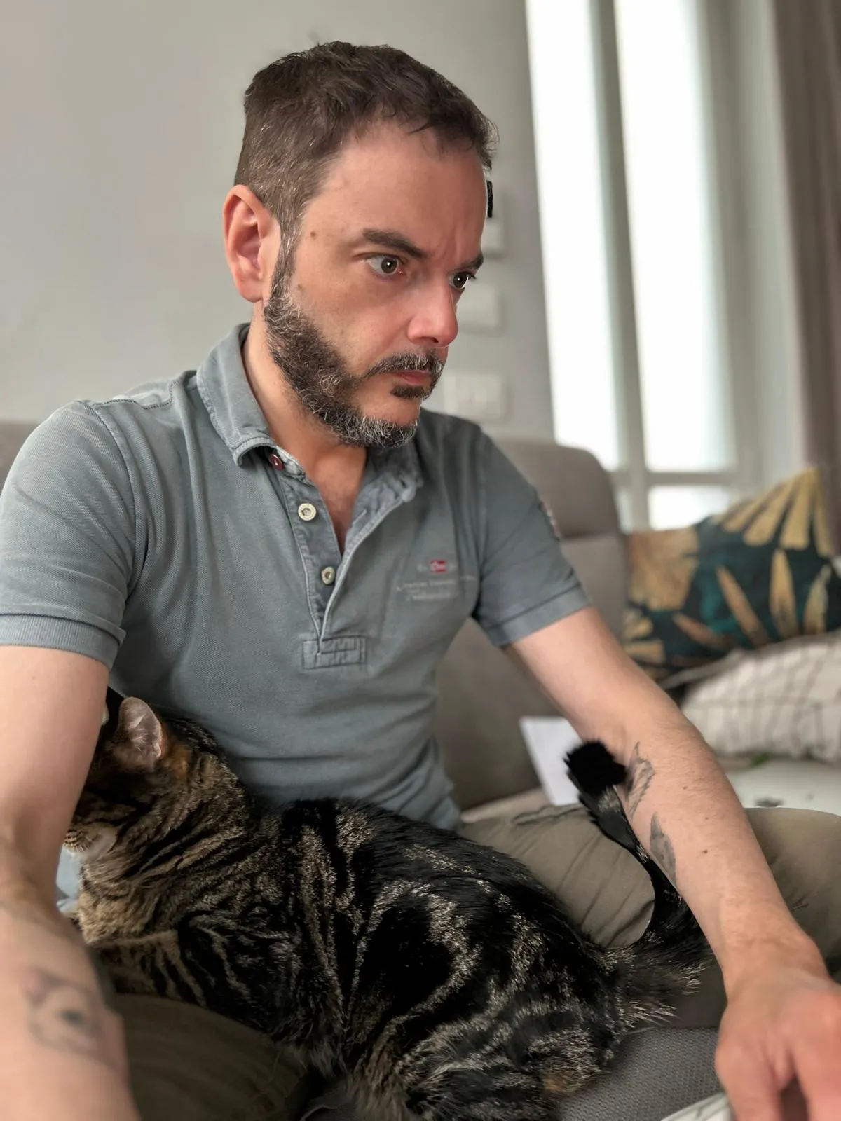 Gatto in relax